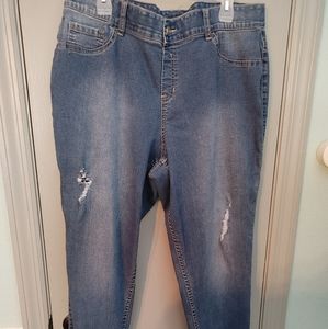 Lane Bryant Jeans